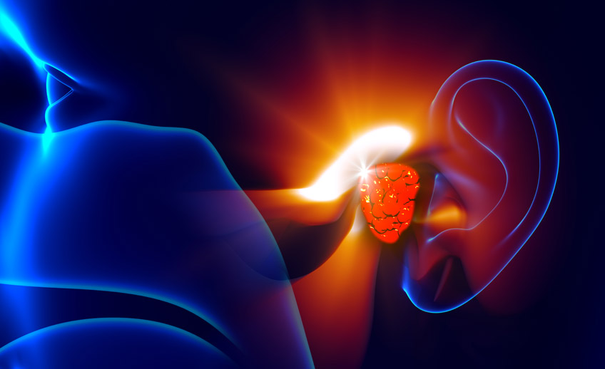 Alergias, rinitis y sinusitis