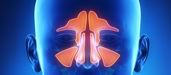 Alergias,rinitis,sinusitis
